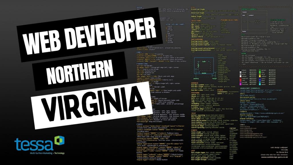 Web Developer